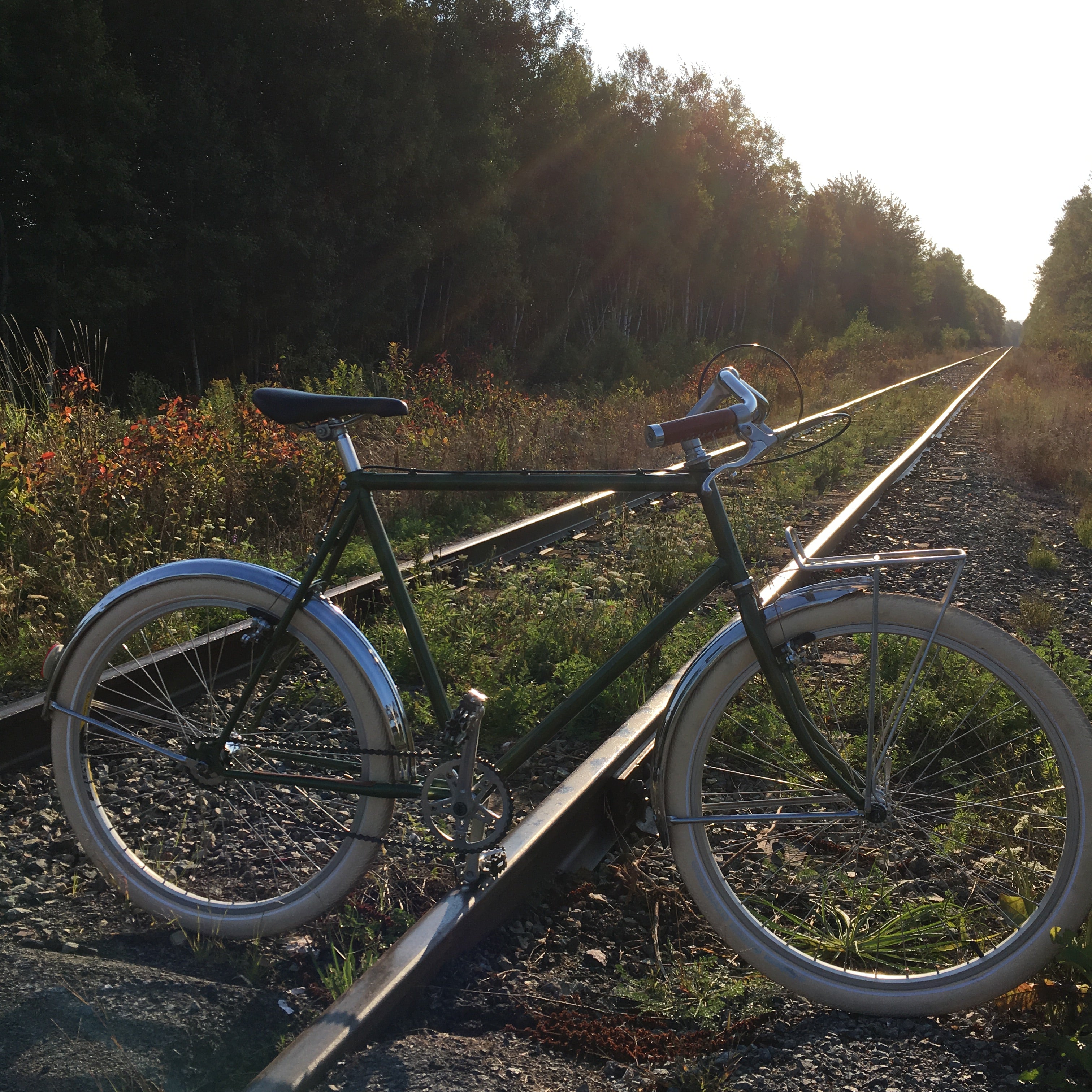 Path Racer: Sturmey-Archer Two-Speed – FreeLander Bicycles