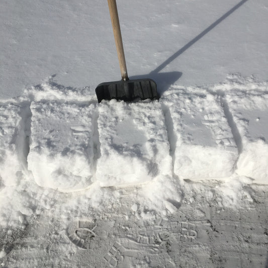 The Lost Art of Shovelling Snow