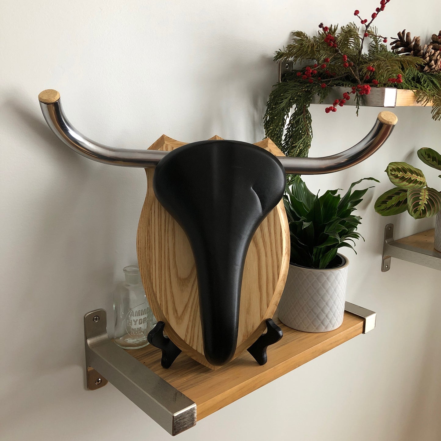 Bicycle Taxidermy - Bos taurus (var. shorthorn)