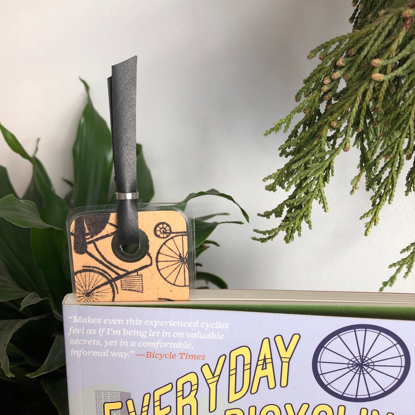 Books - Everyday Bicycling (Elly Blue, Microcosm Publishing)