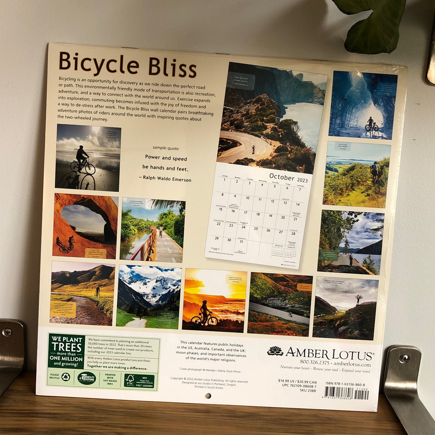 Books - Calendar: Cycle Bliss