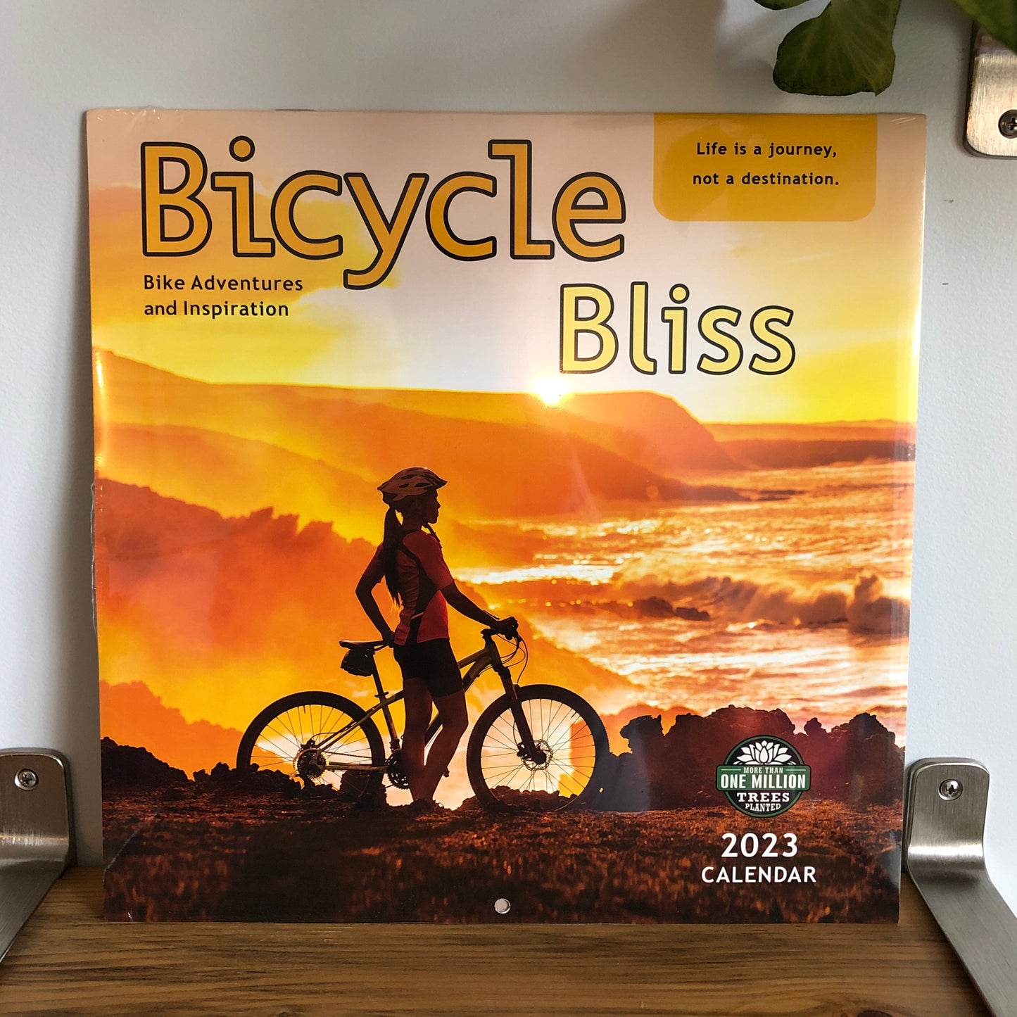 Books - Calendar: Cycle Bliss